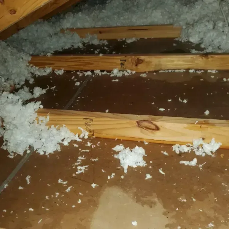 Attic Water Damage in Myrtletown, CA