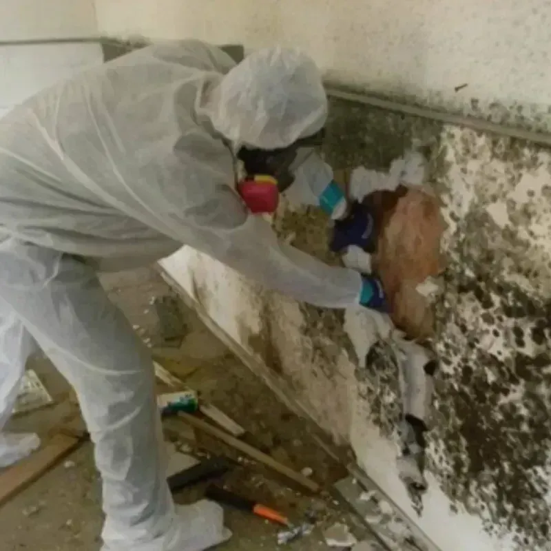 Mold Remediation and Removal in Myrtletown, CA